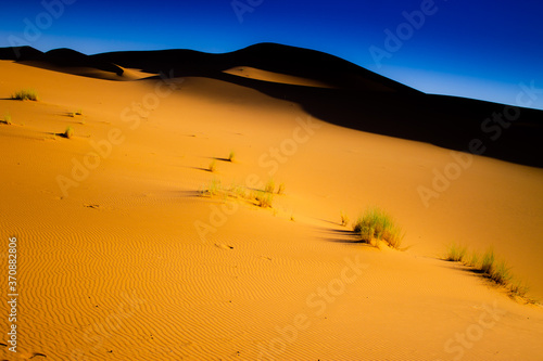 Dunas y arena en el desierto