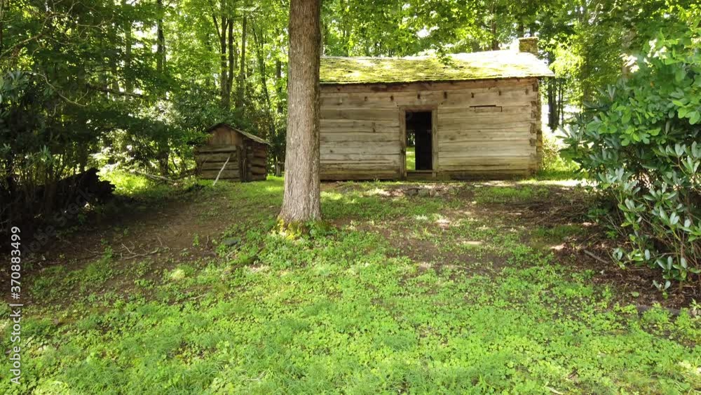 Old preserved historic log cabin in forest with green trees and grass on hillside on sunny day, Boone, North Carolina, America, handheld pan up Old preserved historic log cabin in forest with green trees and grass on hillside on sunny day, Boone, North Carolina, America, handheld pan up