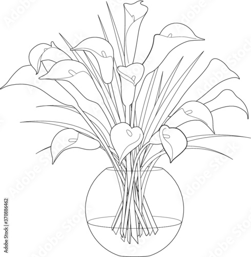 A vector line art illustration of calla flowers arrangement in a bowl