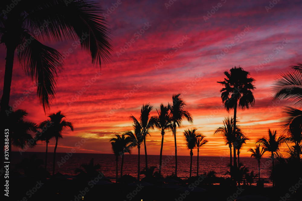 Obraz premium Sunset en puerto vallarta