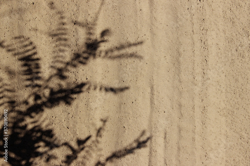Blurry image of beautiful shadows of a plant on the sand. Abstract nature background. Nature, travel concept.