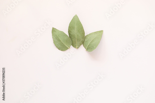 Simple flat lay image featuring three gum leaves on white background with copy space