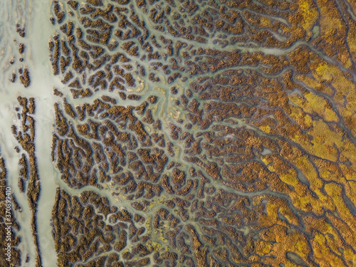 Tributaries of Life - Water from Los Osos Creek drains into Morro Bay, providing rich habitat for marine life and birds. Los Osos, California, USA