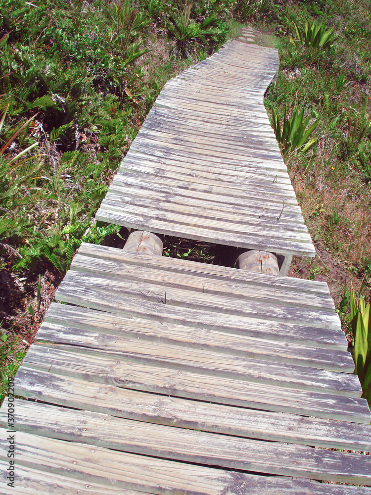 Wooden path in a hill of Praia do Rosa, Florianopolis, Brazil