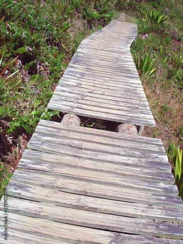 Wooden path in a hill of Praia do Rosa, Florianopolis, Brazil
