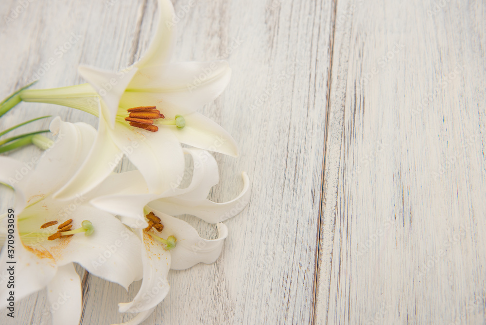 Obraz premium 白ゆり