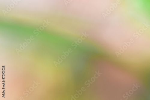 Bokeh green nature, Subtle background in abstract style for graphic design or wallpapers