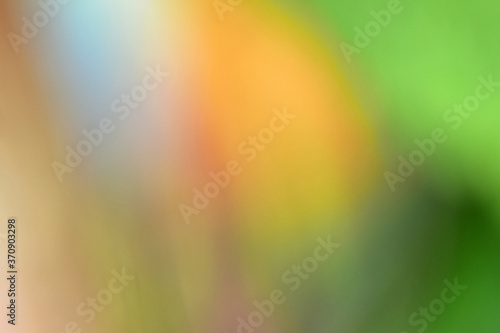 Bokeh green nature, Subtle background in abstract style for graphic design or wallpapers