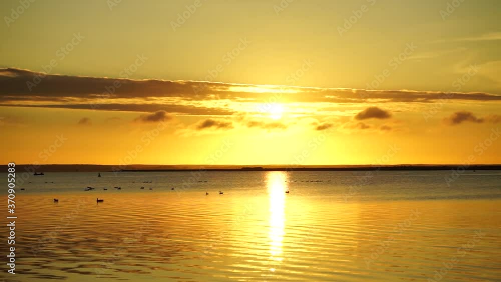 sunrise at Müritz Lake with water birds sunrise at Müritz Lake with water birds