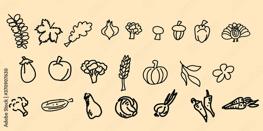 Vector-drawn vegetables, fruits and plants. For design. Vector-drawn vegetables, fruits and plants. For design.