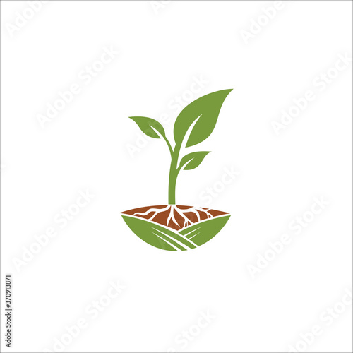 seed logo design template silhouette vector icon
