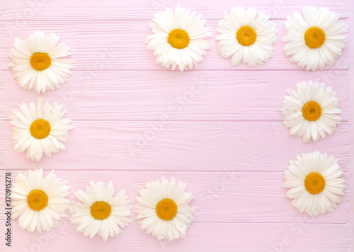 Chamomile composition on pink wooden background. Flat lay, copy space © Oleksandr Blishch