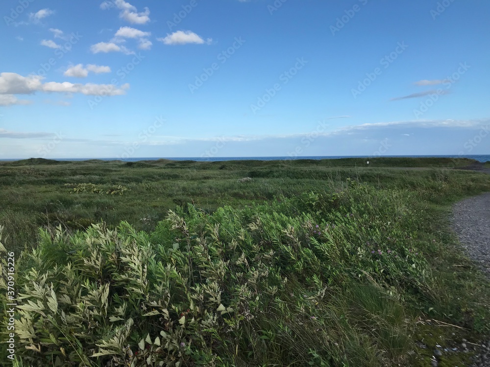 Wetland near Sea and Sky in Hokkaido Wetland near Sea and Sky in Hokkaido