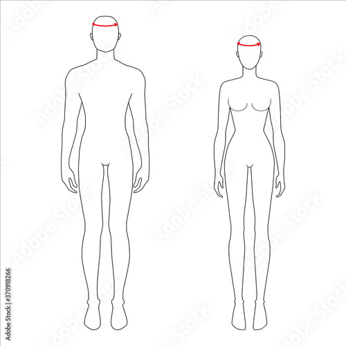 Women and men to do head measurement fashion Illustration for size chart. 7.5 head size girl and boy for site or online shop. Human body infographic template for clothes. 