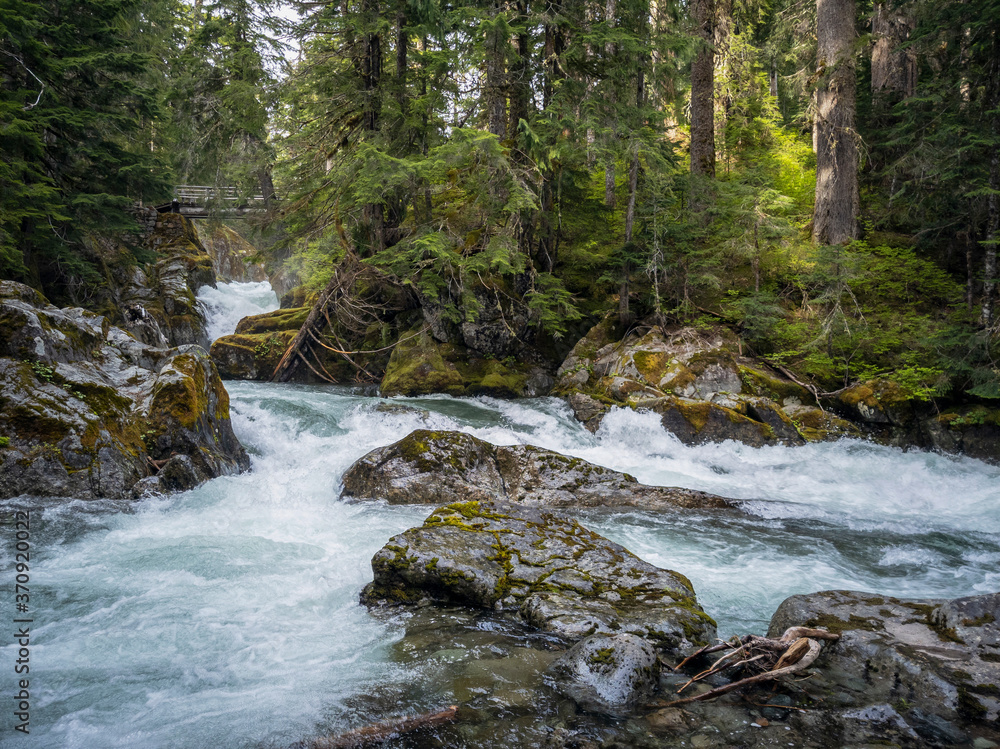 Glacier-fed Chinook Cascades flowing downward thru boulders in a forest setting at Mount Rainier National Park Washington State Glacier-fed Chinook Cascades flowing downward thru boulders in a forest setting at Mount Rainier National Park Washington State