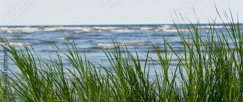 Menschenleeres Ufer mit Dünengras und Meereswellen im Hintergrund im Panoramaformat © bluedesign