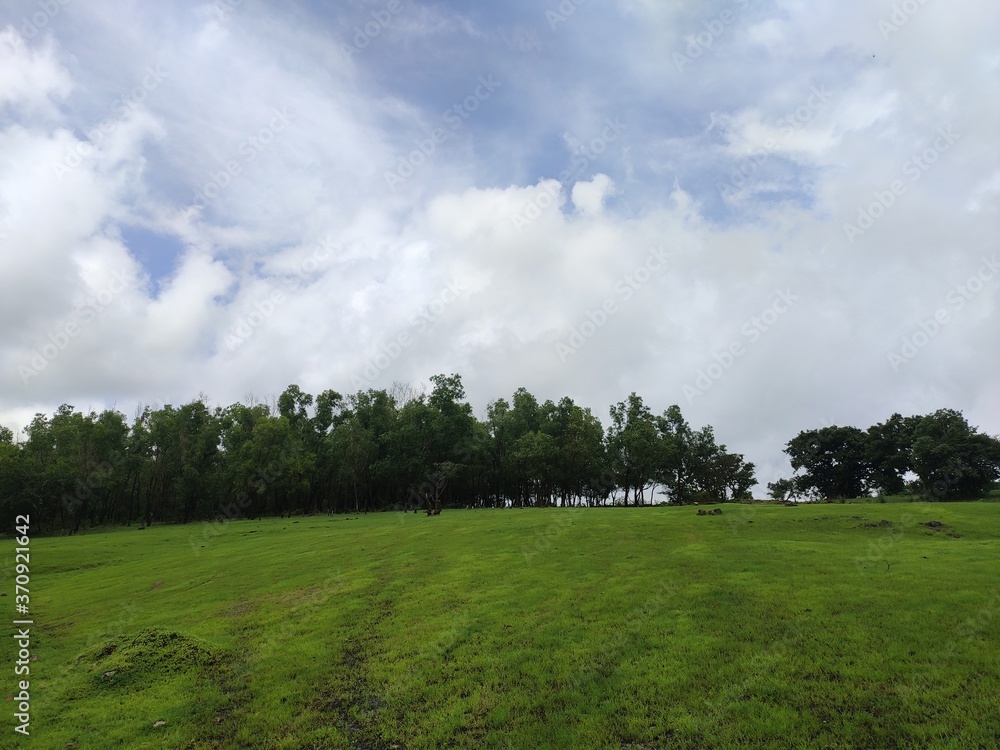 Naklejka premium clouds over the field