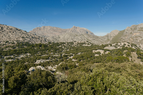 Puig Major 1436 metros desde el Puig De Sa Cova Des Carboner, 842 metros, sierra de Tramuntana, mallorca, islas baleares, españa, europa photo