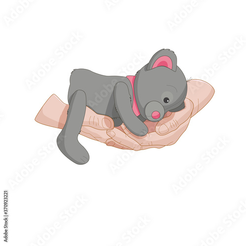teddy bear lies on hands vector illustration