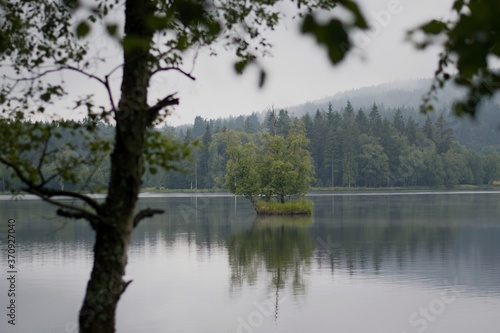 An Island In The Middle Of The Lake In The Czech Moorland Kladska In The Background During The Misty Day © Irena Galadwen