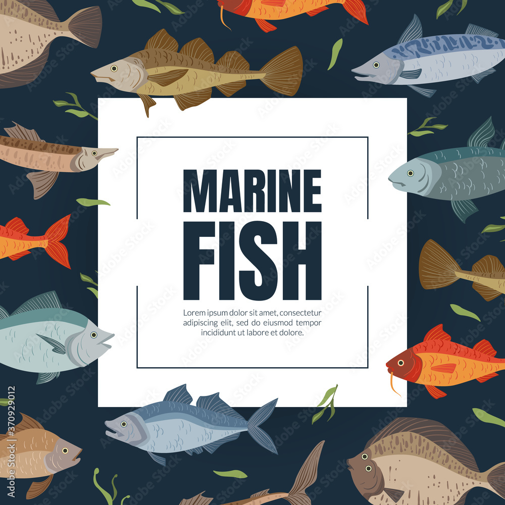 Marine Fish Banner Template, Seafood Market, Shop, Menu, Packaging Design Flat Vector Illustration