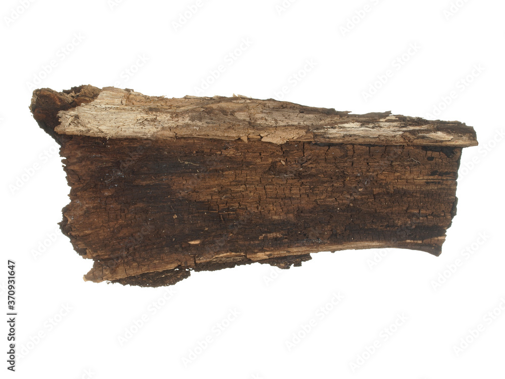 Piece of old rotten wood bark isolated on a white background Piece of old rotten wood bark isolated on a white background