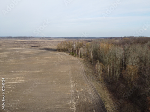 Agricultural field near the forest, aerial view. Landscape.