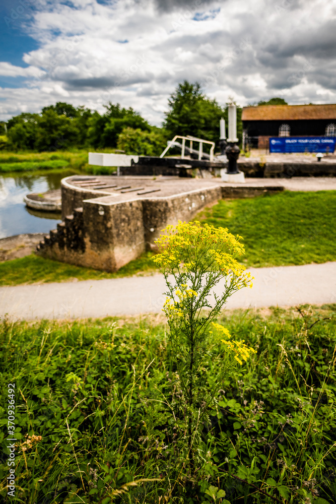 Fototapeta premium hatton locks grand union canal warwickshire english midlands england uk