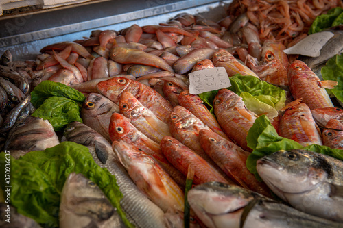 świeżo złowione ryby na targu w porcie