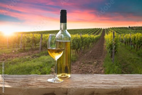 Fotografía A fresh chilled glass of ice wine overlooking a Canadian vineyard during a Summe