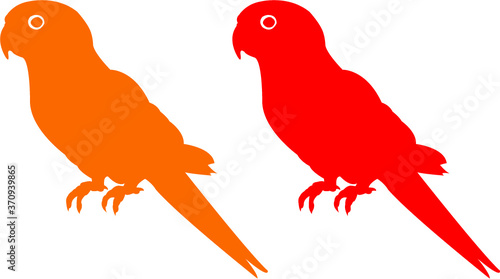 vector illustration of a parrot