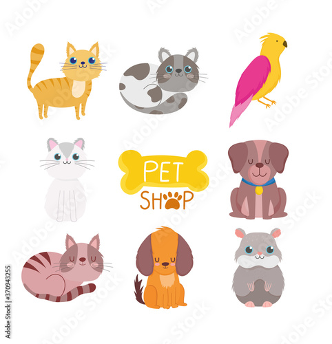 Fototapeta Naklejka Na Ścianę i Meble -  pet shop, cute animals cat dog bird rodent veterinary clinic food