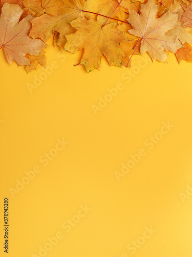 autumn composition with yellow leaves. autumn mood