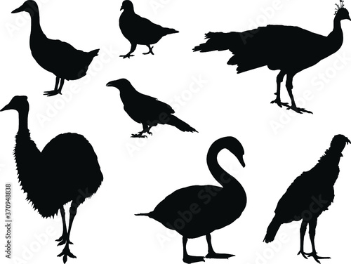 set of silhouettes of birds