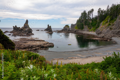Secluded beach bay with trees on cliff and island rock formations at Shi Shi Beach Washington Pacific Northwest Coast Olympic National Park