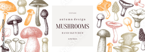 Vintage mushrooms banner. Edible mushrooms vector background. Hand drawn food drawings. Forest plants sketches. 