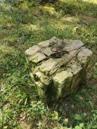 old stone in forest 