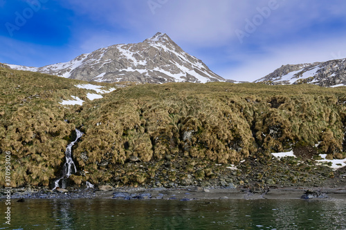 Undine Harbour, South Georgia, South Georgia and the Sandwich Islands, Antarctica photo