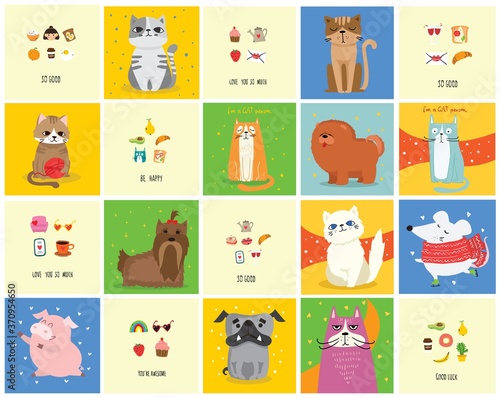 Fototapeta Naklejka Na Ścianę i Meble -  Cool cats, mouses, pigs and dogs. Vector trendy hipster style greeting cards design, t-shirt print, inspiration poster.