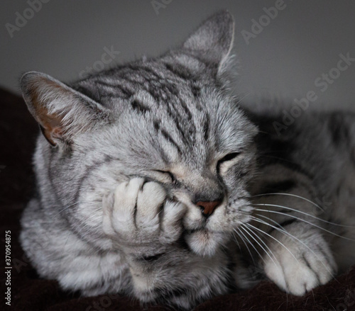 Oh man! Ich hab einen Kater!