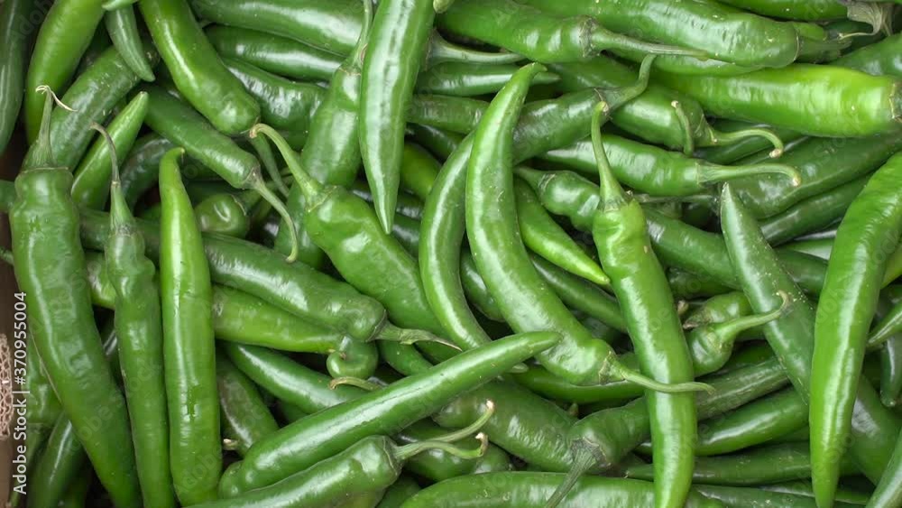 green chilli pepper for food textures green chilli pepper for food textures