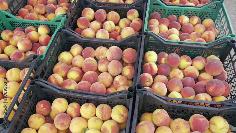 Peaches in plastic boxes in supermarket Peaches in plastic boxes in supermarket