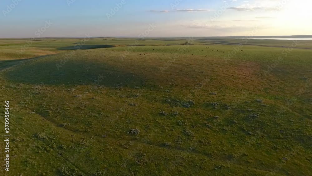aerial motion, Grasslands Scenic landscape, Travel around the world, Canada, Grasslands Biome - Canadian Biomes aerial motion, Grasslands Scenic landscape, Travel around the world, Canada, Grasslands Biome - Canadian Biomes