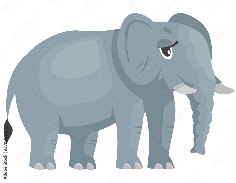 Fototapeta premium Standing female elephant three quarter view. African animal in cartoon style.