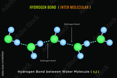 Hydrogen Bond, Inter molecular Hydrogen Bond between Water Molecule