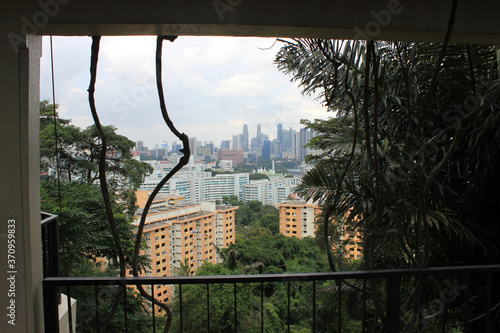 View of Singapore CDB from a point of view in the nature side with lianes and trees surrounding photo