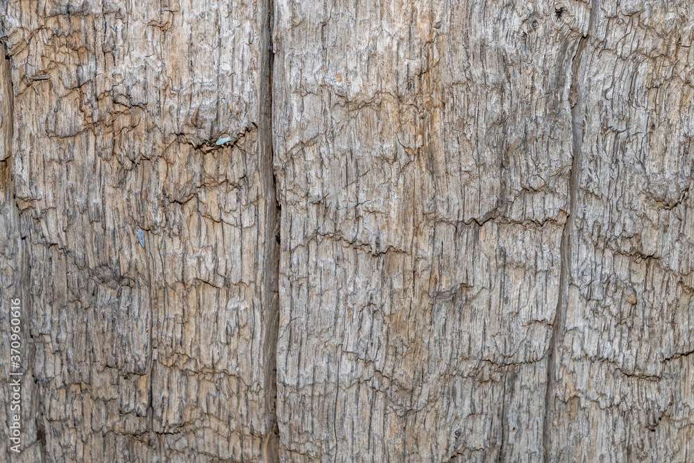 Fototapeta premium Wooden surface. Empty plank wooden wall texture background