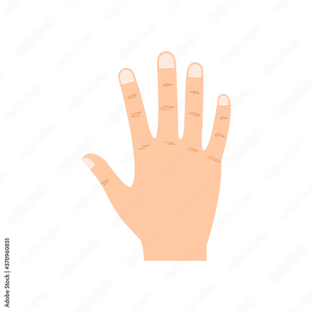 Hand people icon vector illustration isolated on white. European arm symbol. Hand people icon vector illustration isolated on white. European arm symbol.