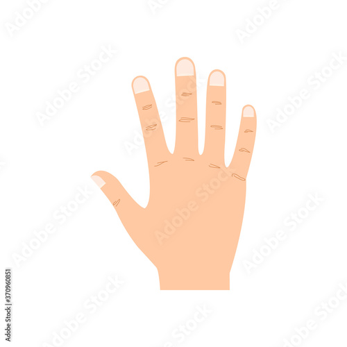 Hand people icon vector illustration isolated on white. European arm symbol.