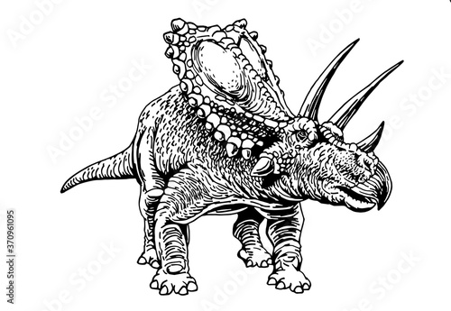 Graphical illustration of triceratops isolated on white background,vector dinosaur